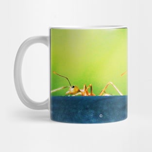 Green tree ant from Northern Qld Mug